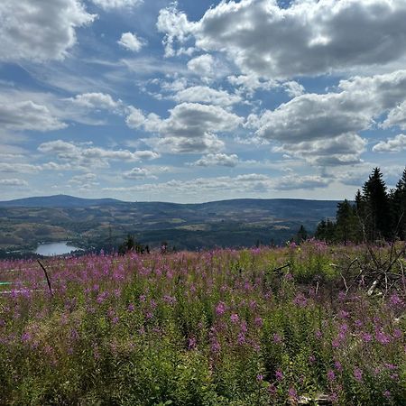 Bergmannsruh Daire Clausthal-Zellerfeld Dış mekan fotoğraf