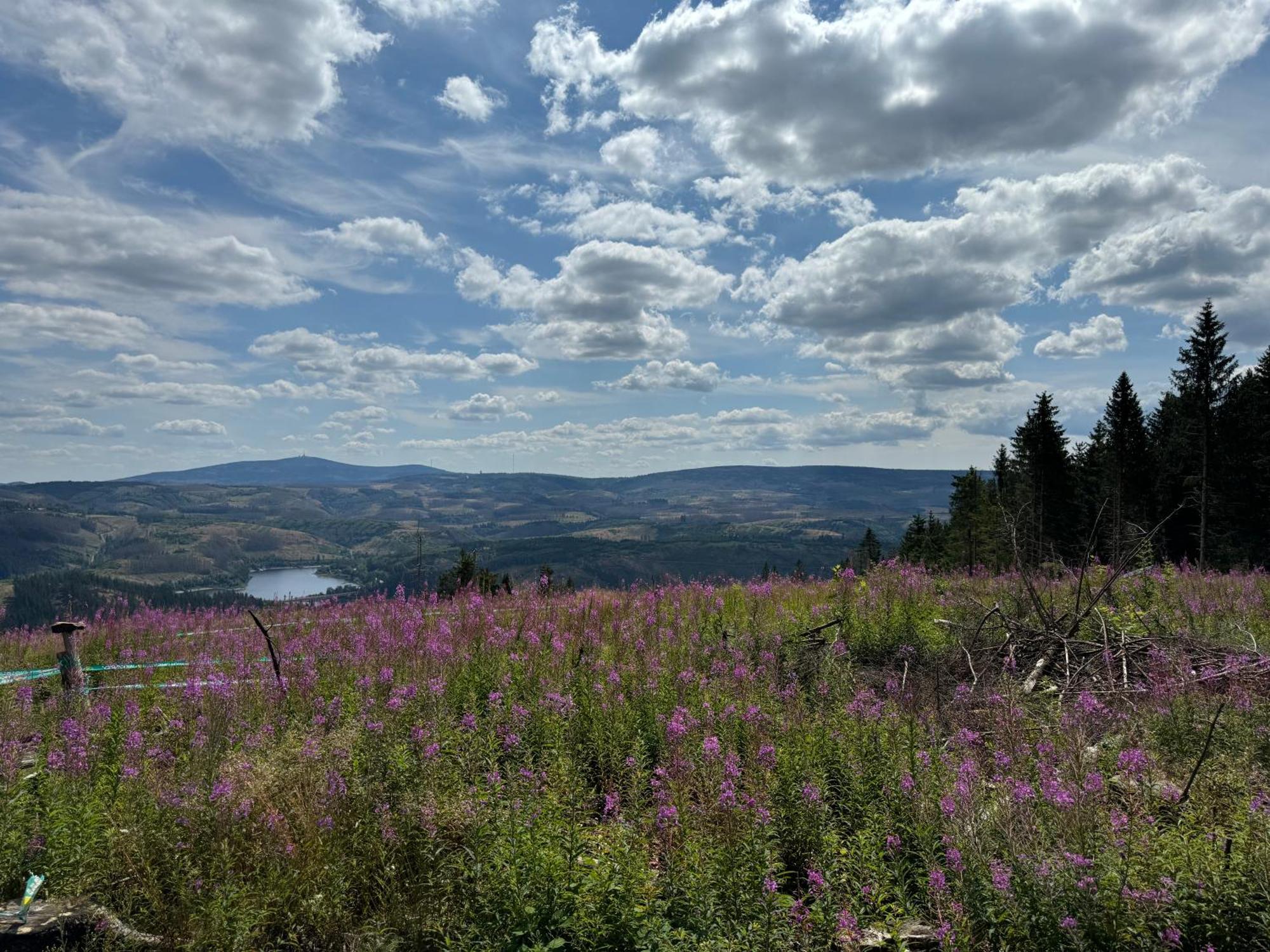 Bergmannsruh Daire Clausthal-Zellerfeld Dış mekan fotoğraf
